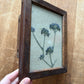 Antique wooden flower press