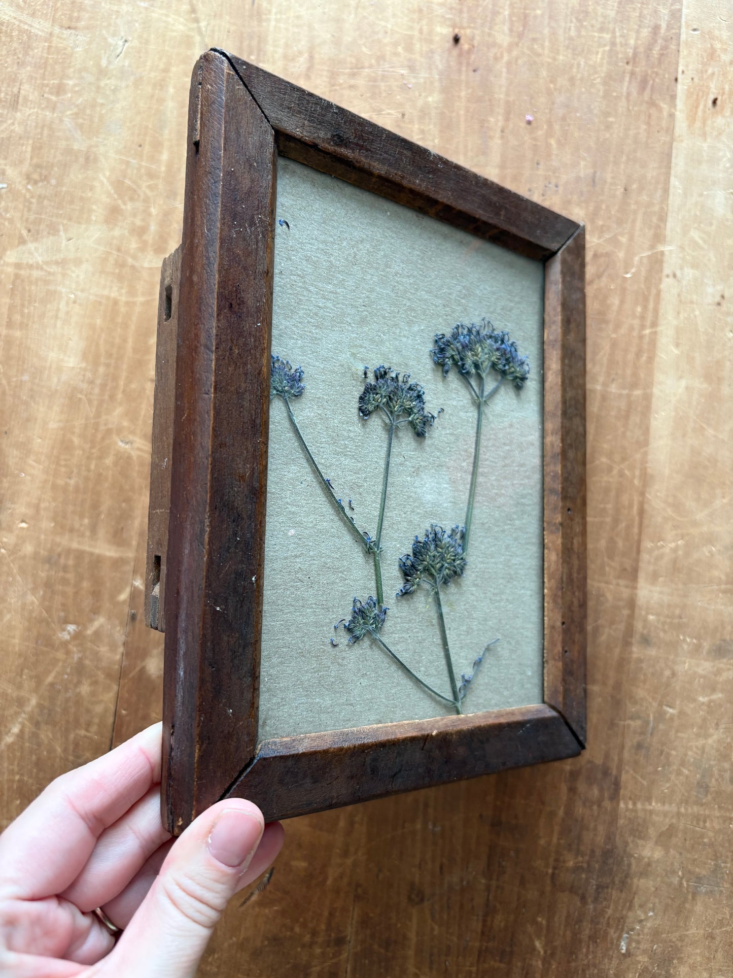 Antique wooden flower press