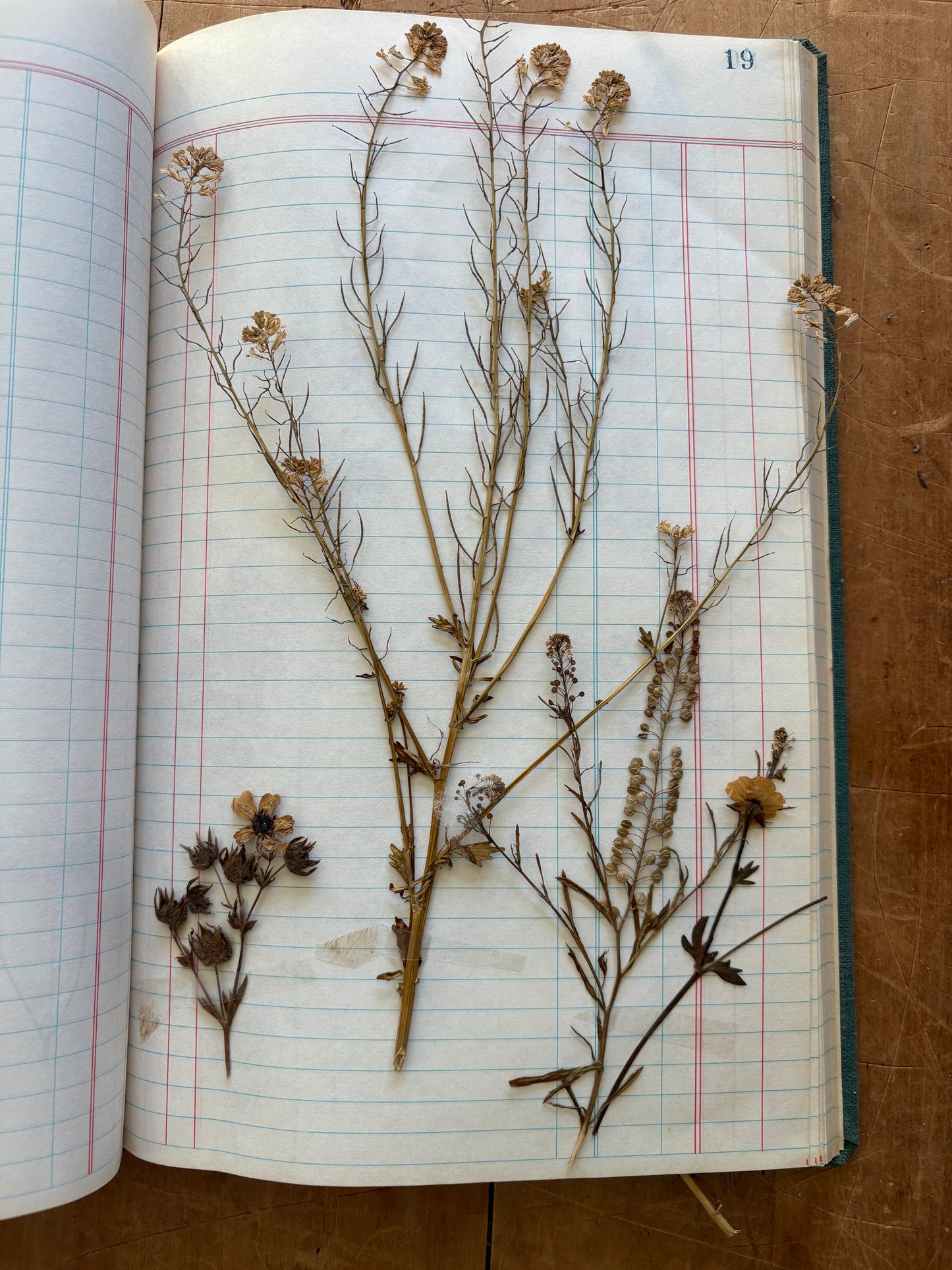 Vintage journal with dried flowers