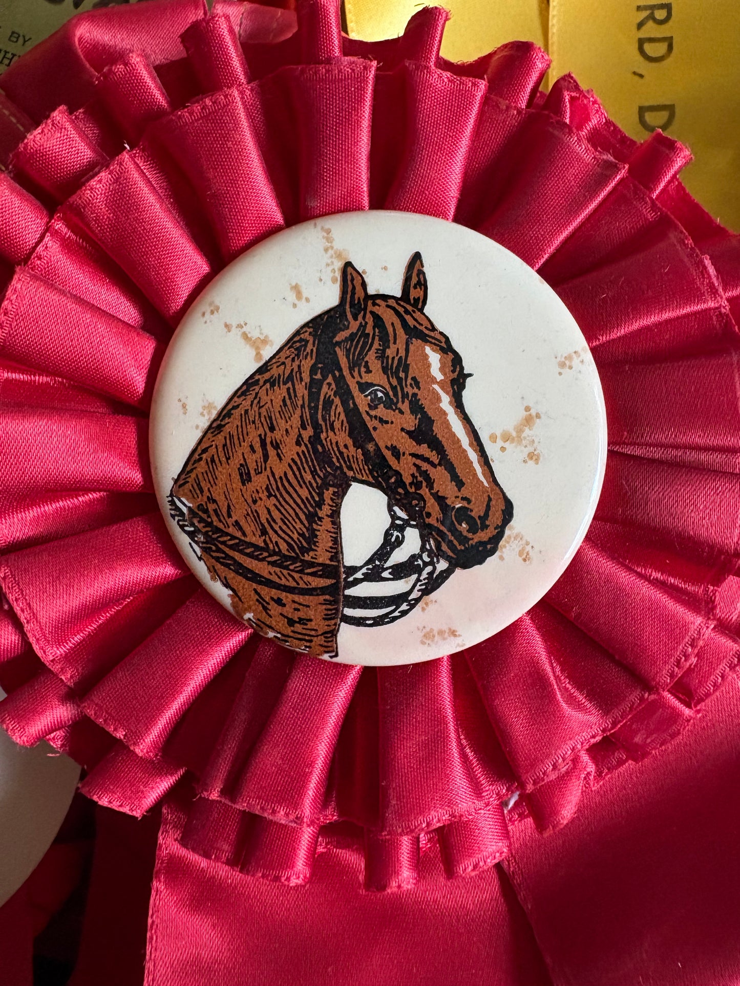 Vintage fair horse showing ribbons