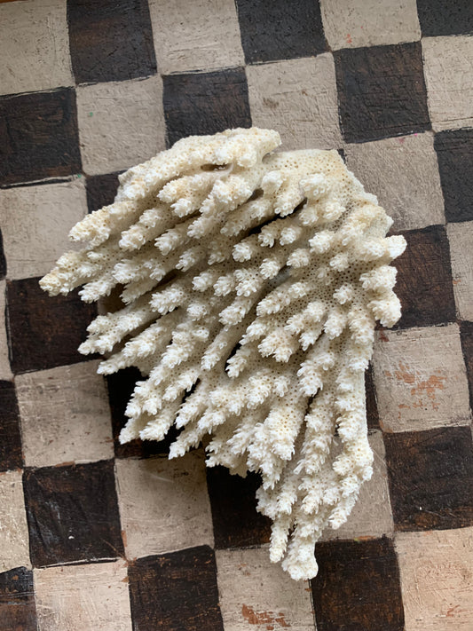 Vintage coral chunk