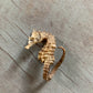 Vintage taxidermy sea horse