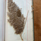 Vintage journal with dried flowers