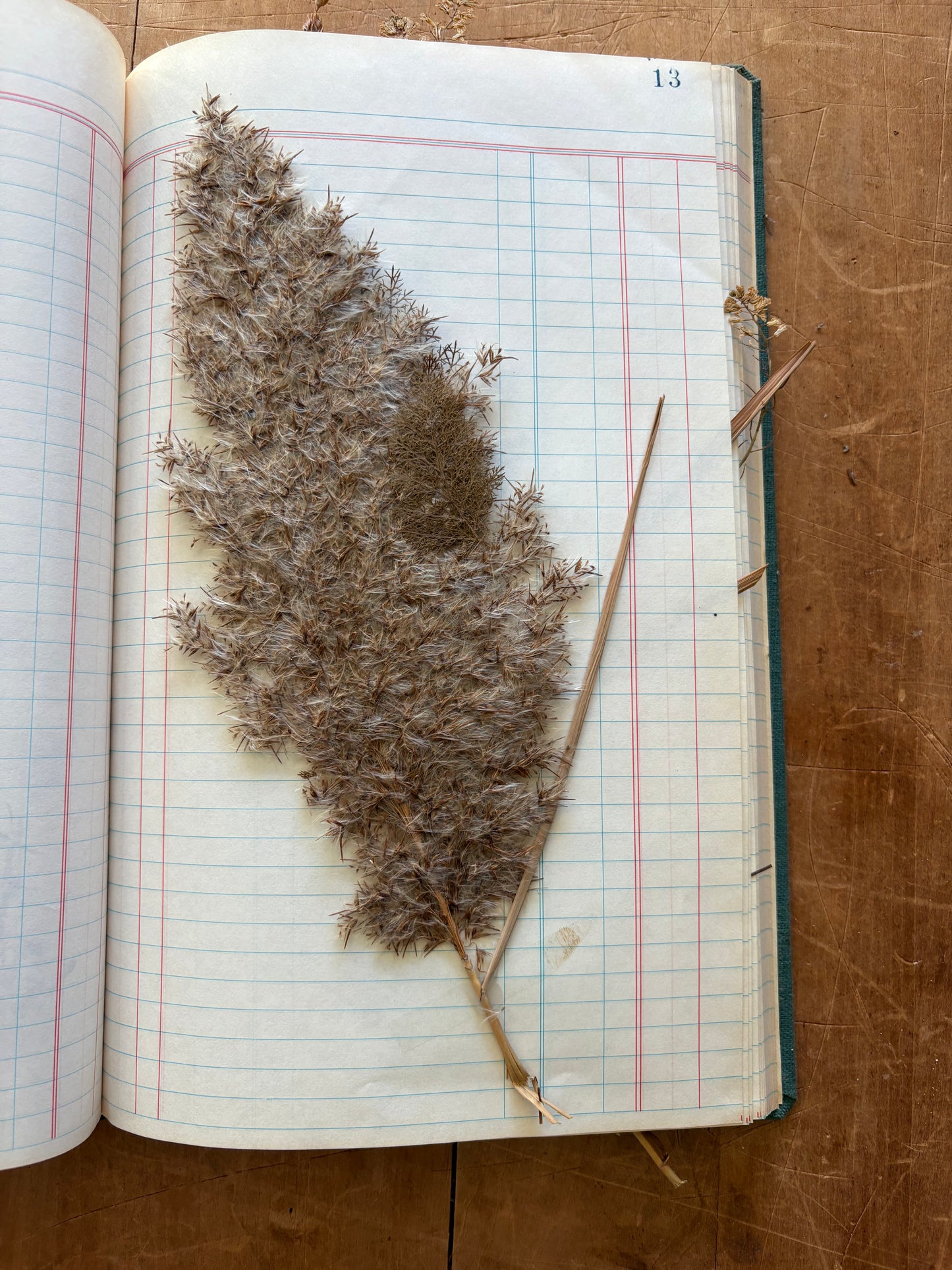 Vintage journal with dried flowers