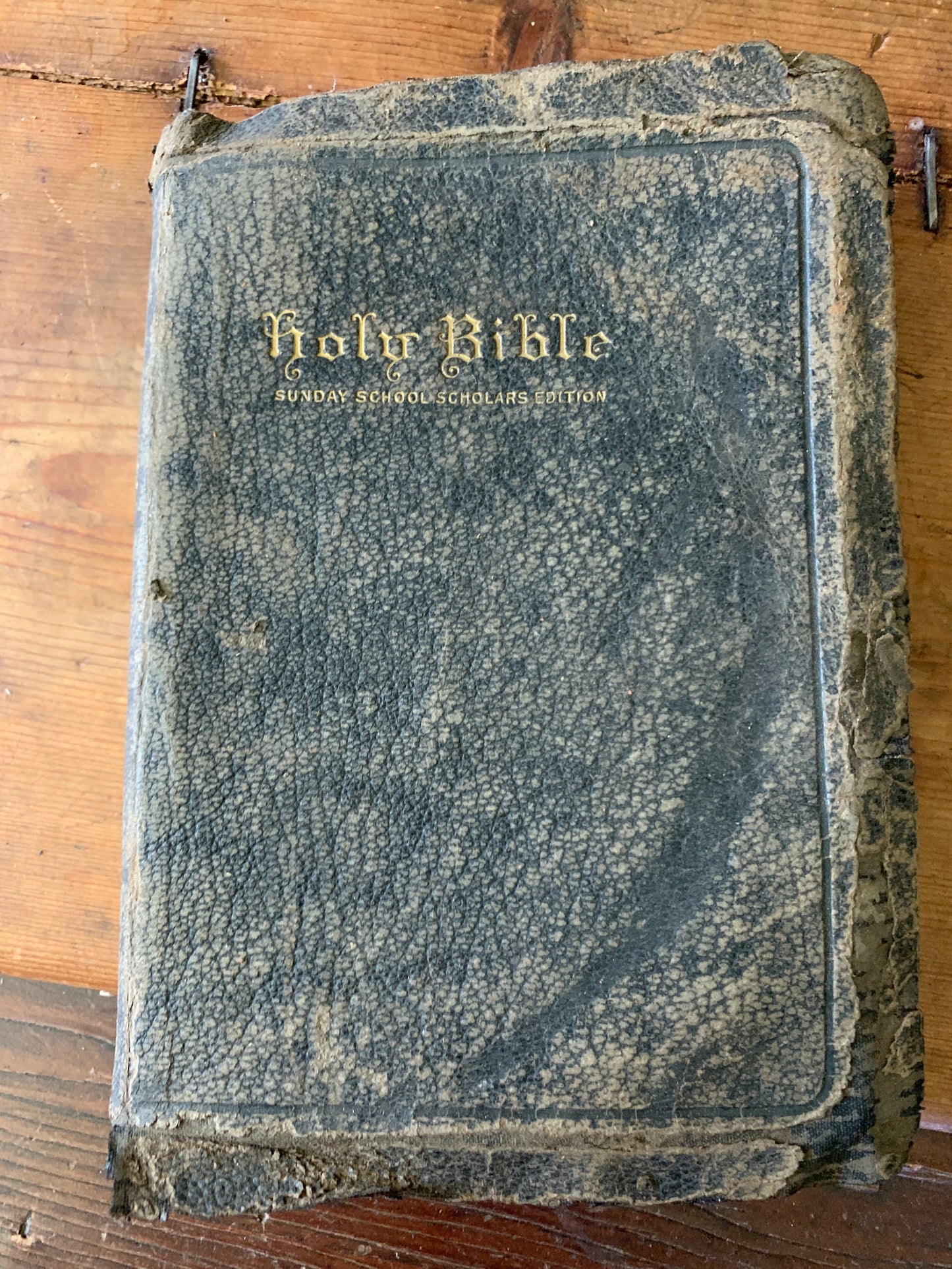 Antique leather bible lot 1800-1929| dried flowers