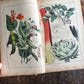 Rare Antique French botanical illustration book with 30 prints