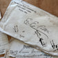 American paper ephemera | bank checks, receipts, and invoices from Ohio businesses dated between 1889 and 1916