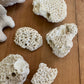 Vintage coral lot