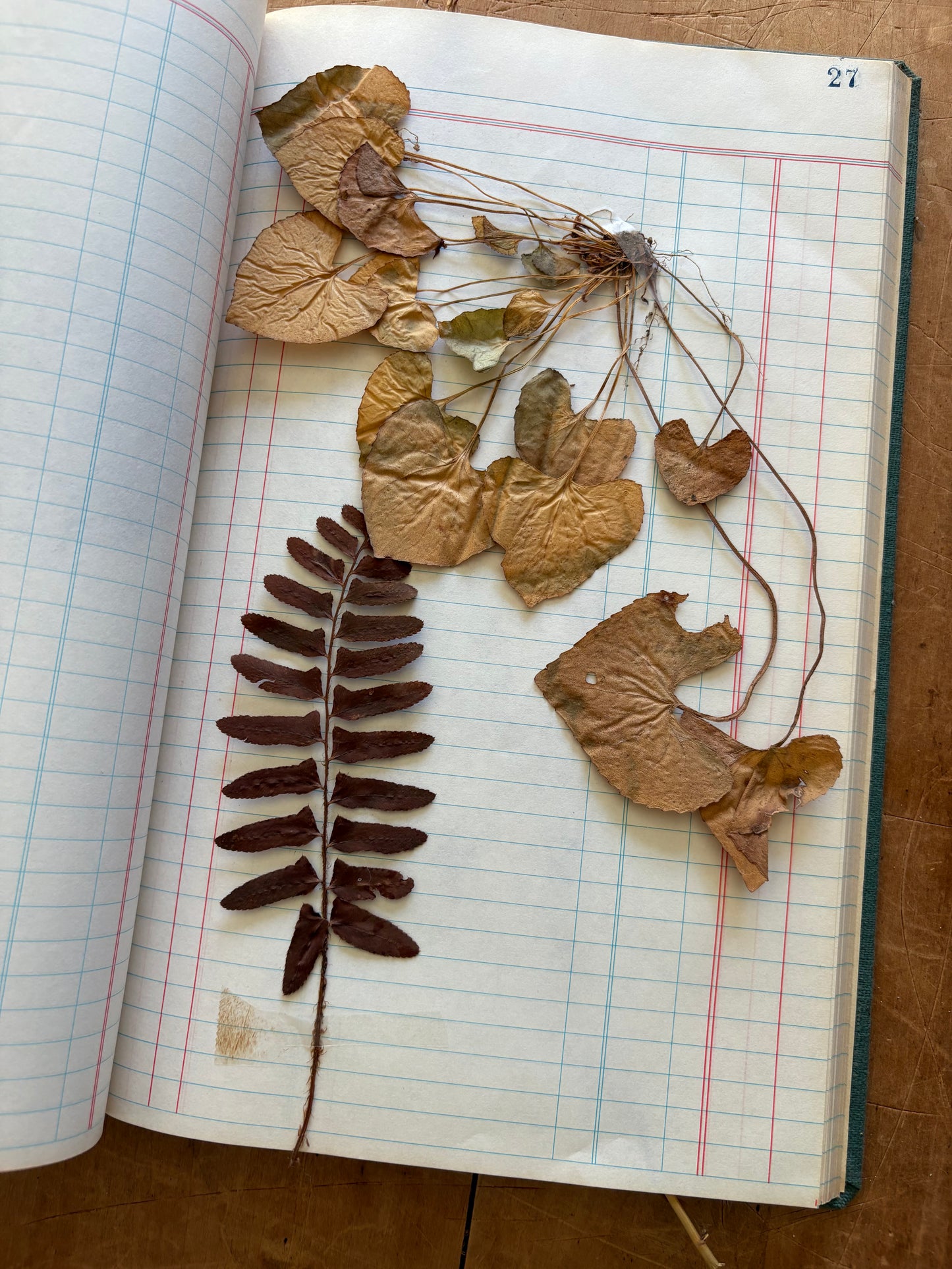 Vintage journal with dried flowers