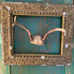 Vintage taxidermy antlers