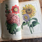 Rare Antique French botanical illustration book with 30 prints