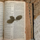 Vintage leather tabbed bible with pressed flower