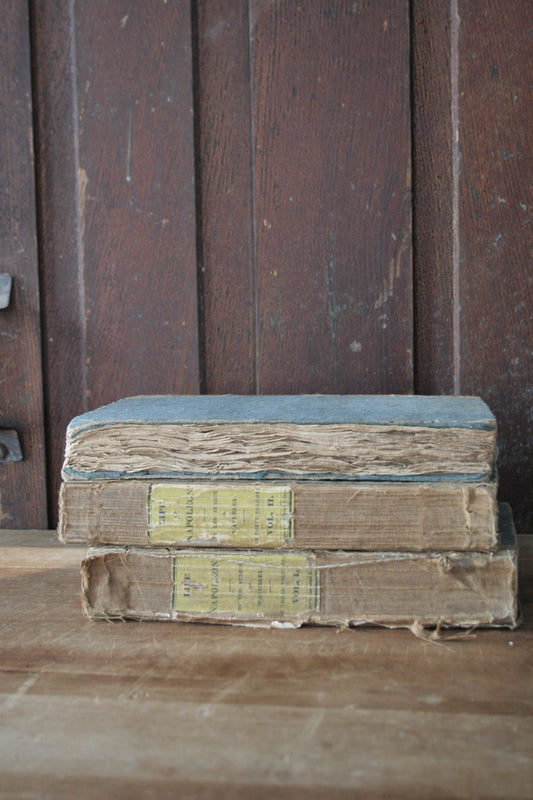 RARE First American Edition of the Life of Napoleon Buonaparte: Emperor of the French, by Sir Walter Scott paperback book set