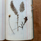 Vintage journal with dried flowers