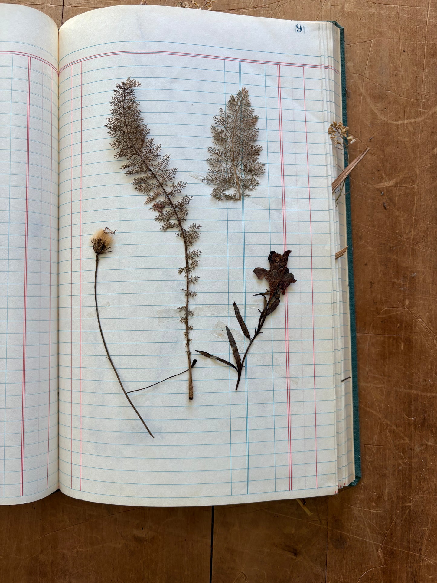 Vintage journal with dried flowers