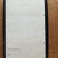 Vintage taxidermy butterfly collection in riker specimen frame