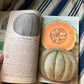 Rare Antique 1908 Burpee seed annual